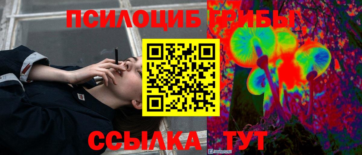 Галлюциногенные грибы ЛСД Кольчугино