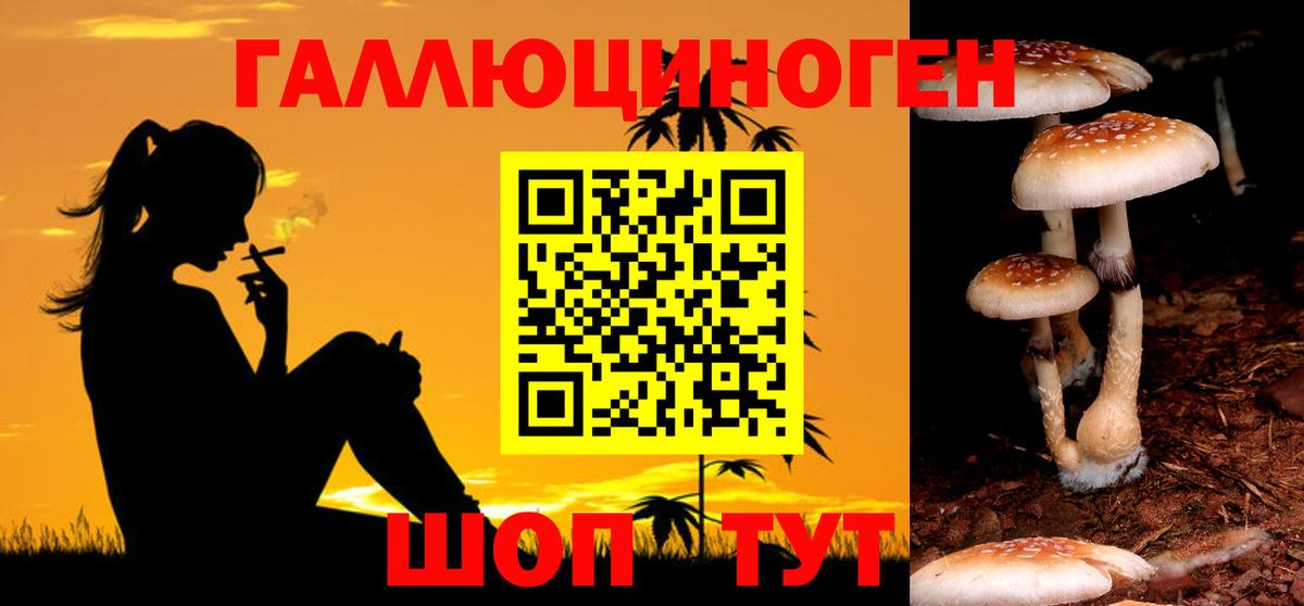 Кольчугино  Псилоцибиновые грибы Psilocybe  Вход с VPN 